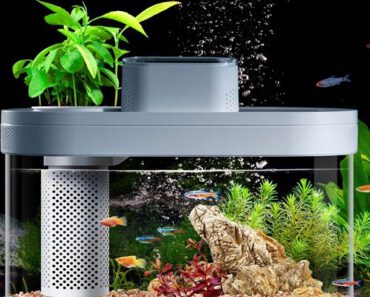 El acuario inteligente de Xiaomi, ¡Llega el Smart Fish Tank!